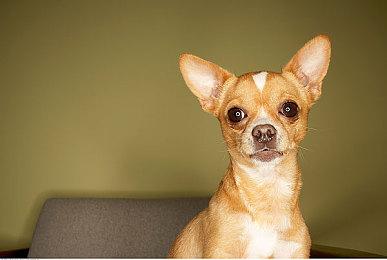 《城市：天际线2》：性能问题修复前无付费DLC